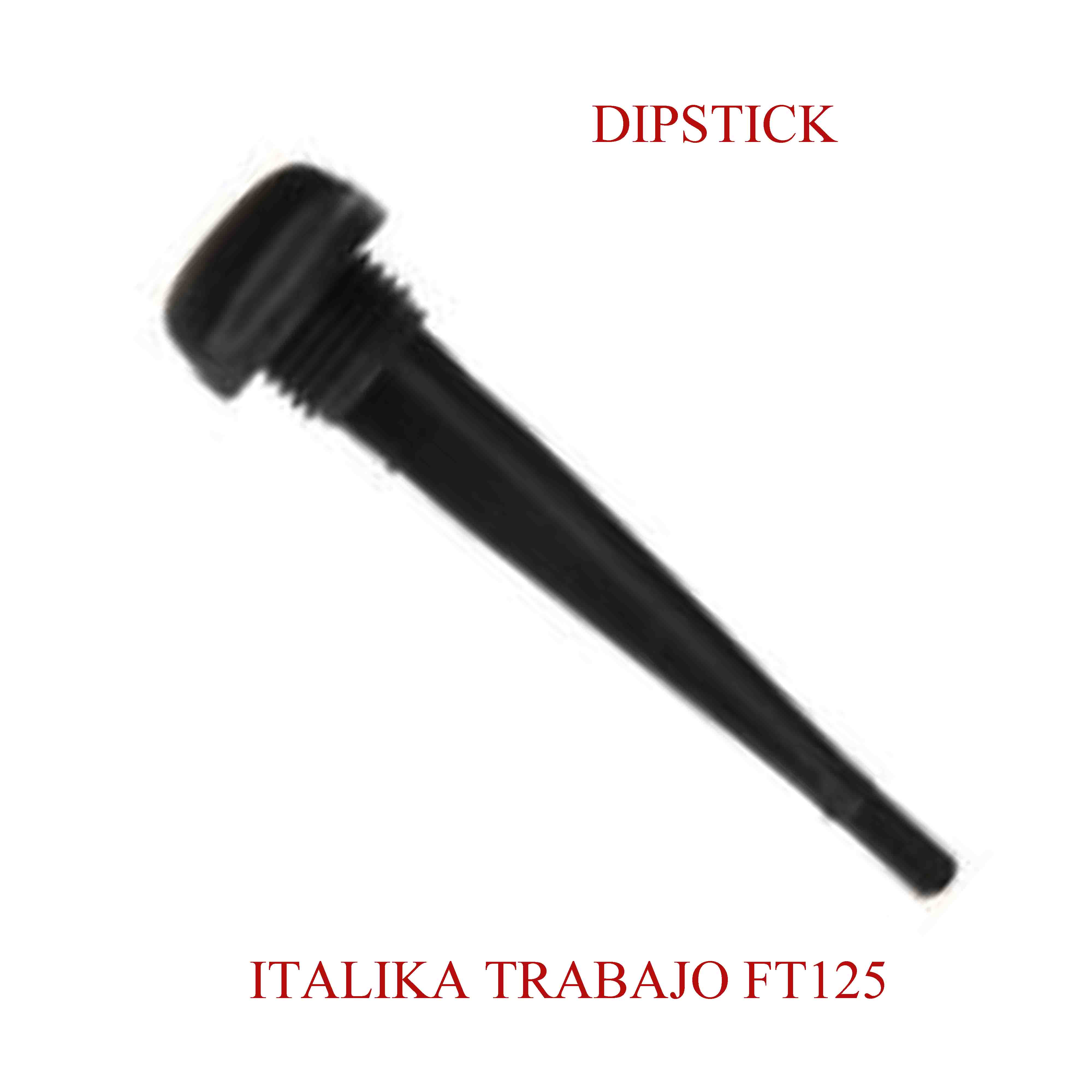 ITALIKA TRABAJO FT125 