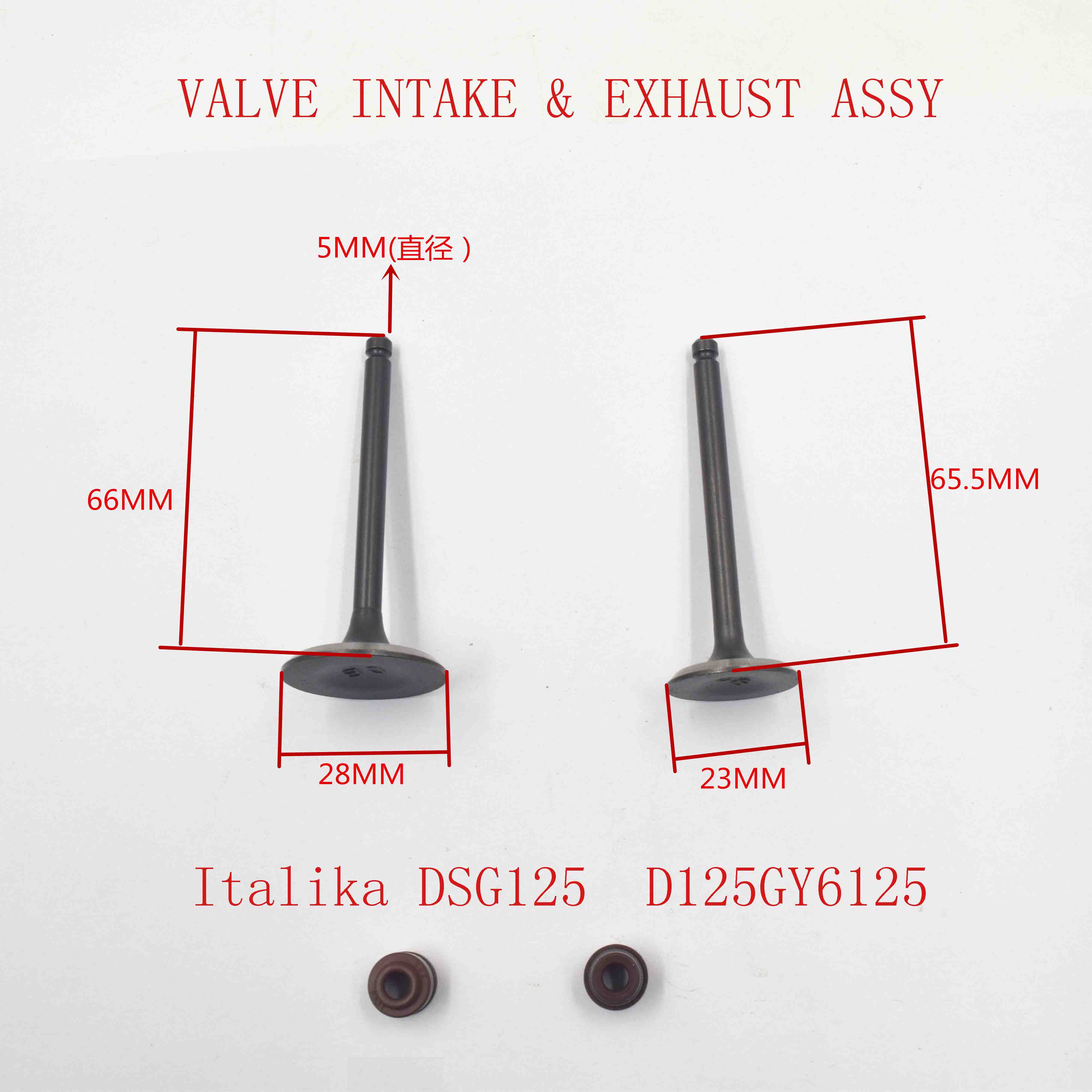 Italika DSG125  D125GY6125 