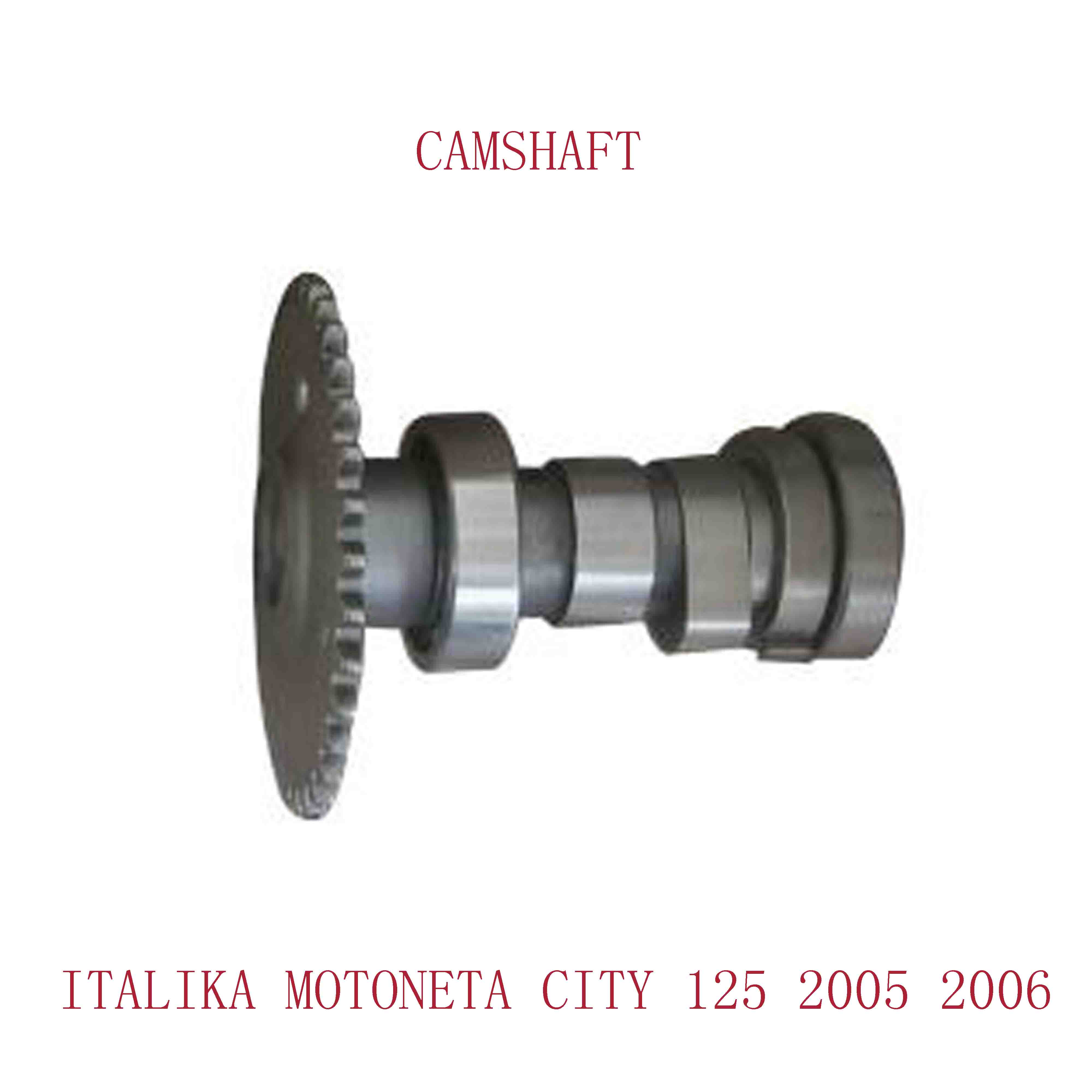 ITALIKA MOTONETA CITY 125 2005 2006 