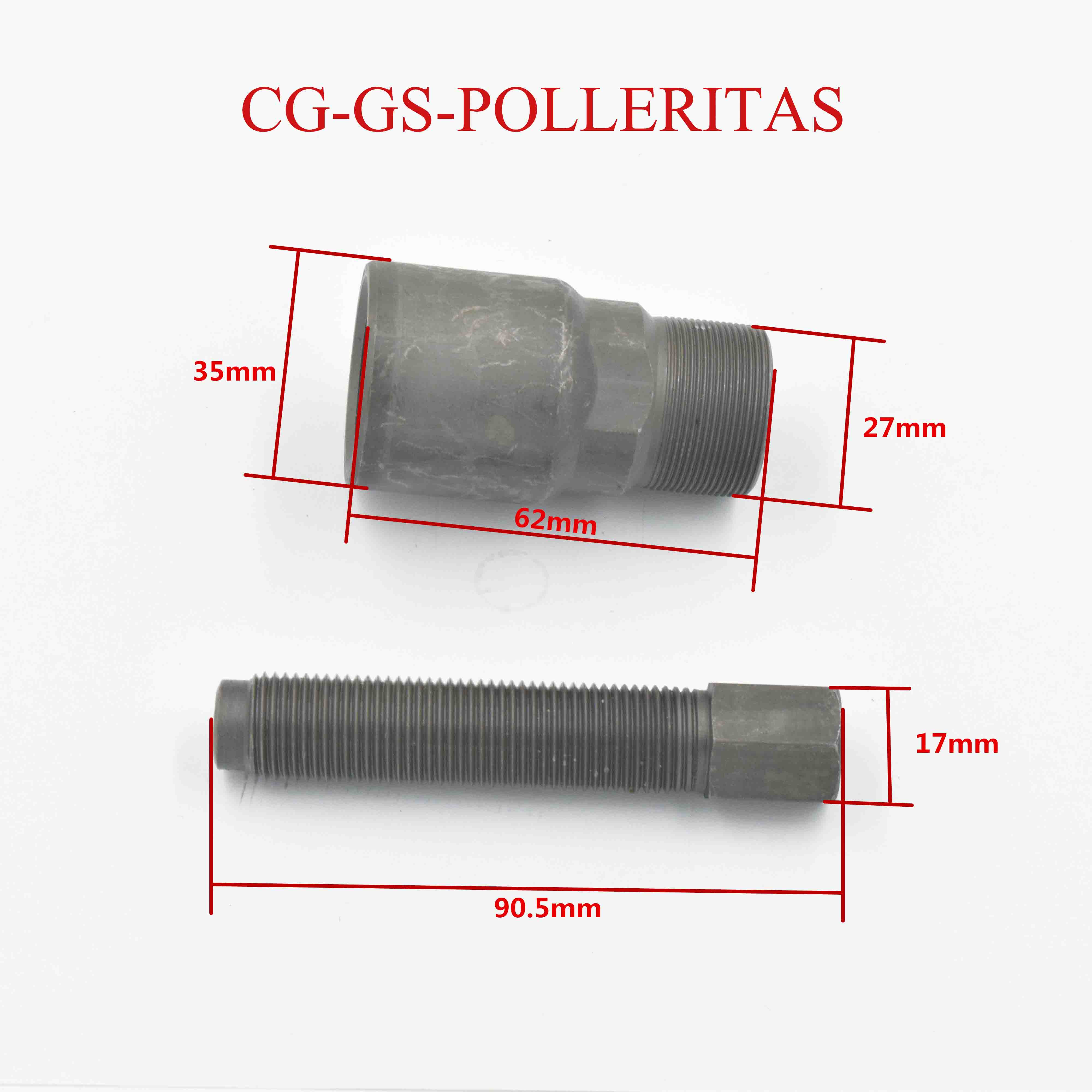 CG-GS-POLLERITAS 