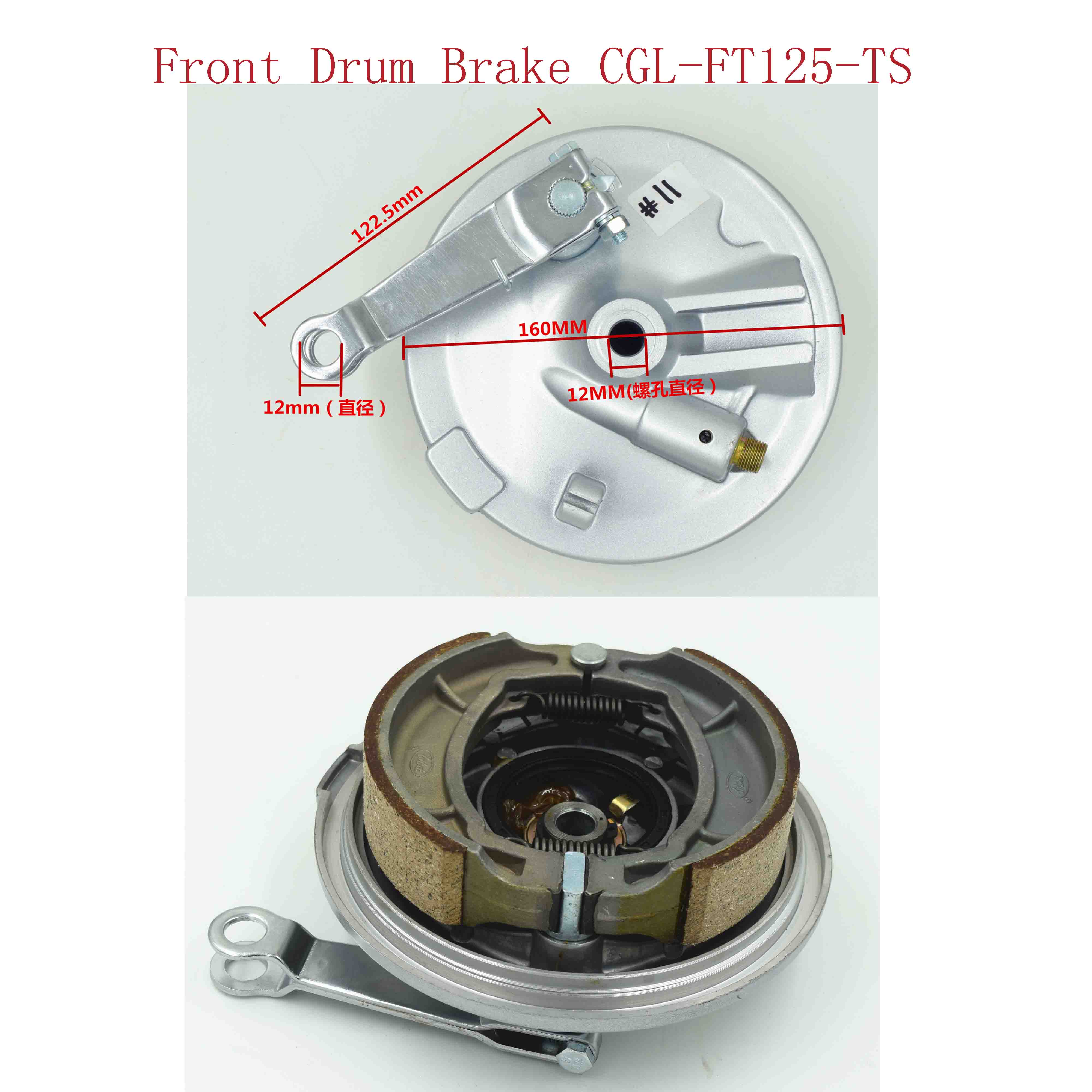 Front Drum Brake CGL-FT125-TS 