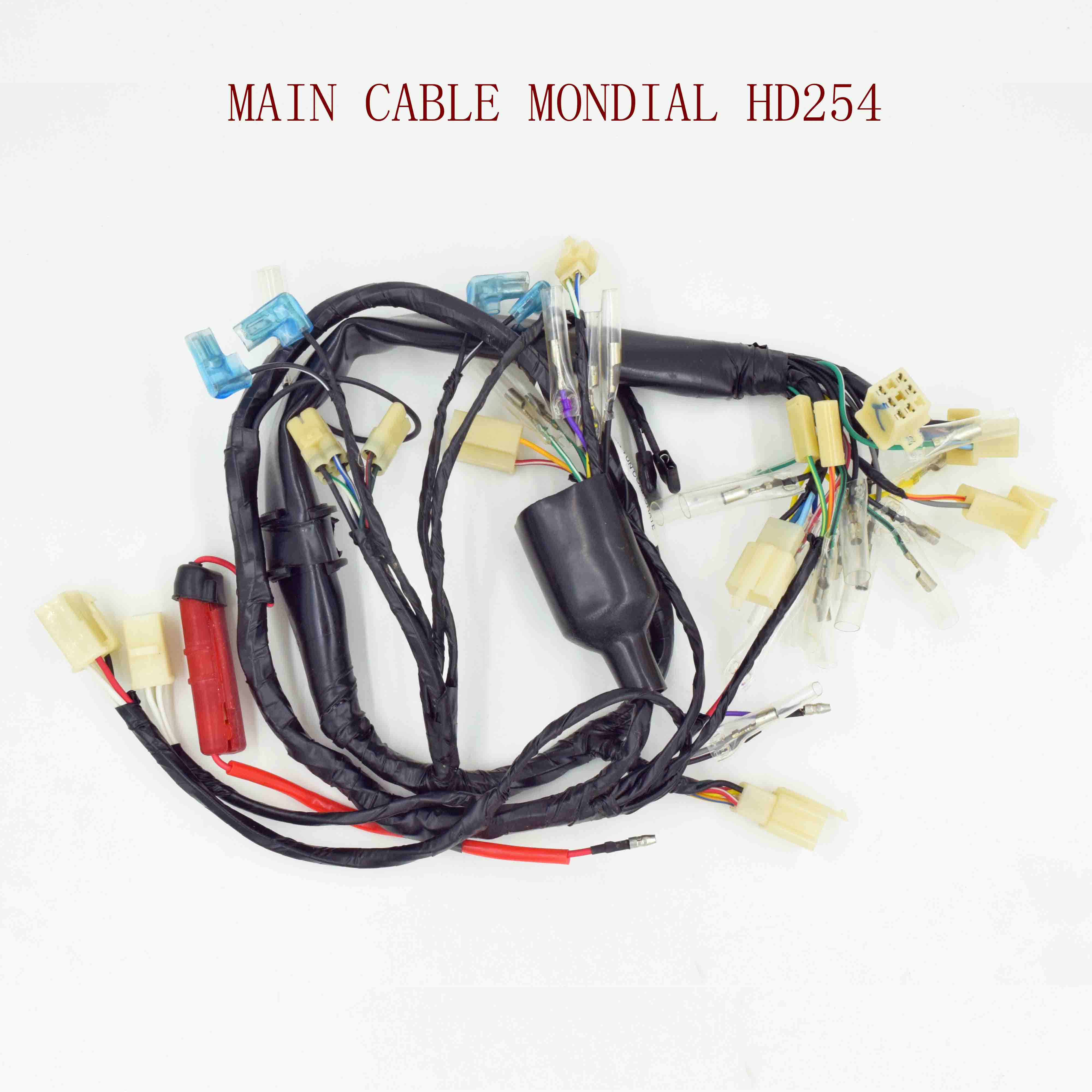 MAIN CABLE MONDIAL HD254 
