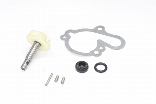 ZESTAW NAPRAWCZY POMPY WODY AM6 TZR DT SR ROB 