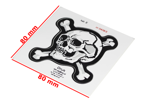 NAKLEJKA PIRAT SREBRNY 0408/3 KAT-E 