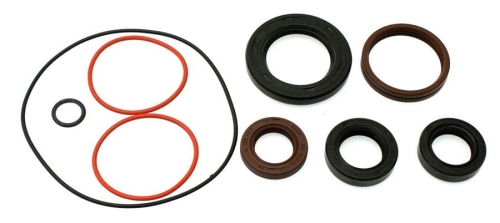 SIMERING USZCZELNIACZ ZESTAW GILERA STALKER RUNNER 