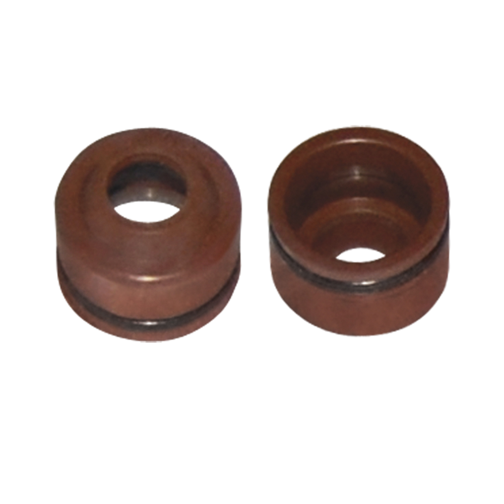 RETEN_VALVULA_PARA_ITALIKA_DS_150 